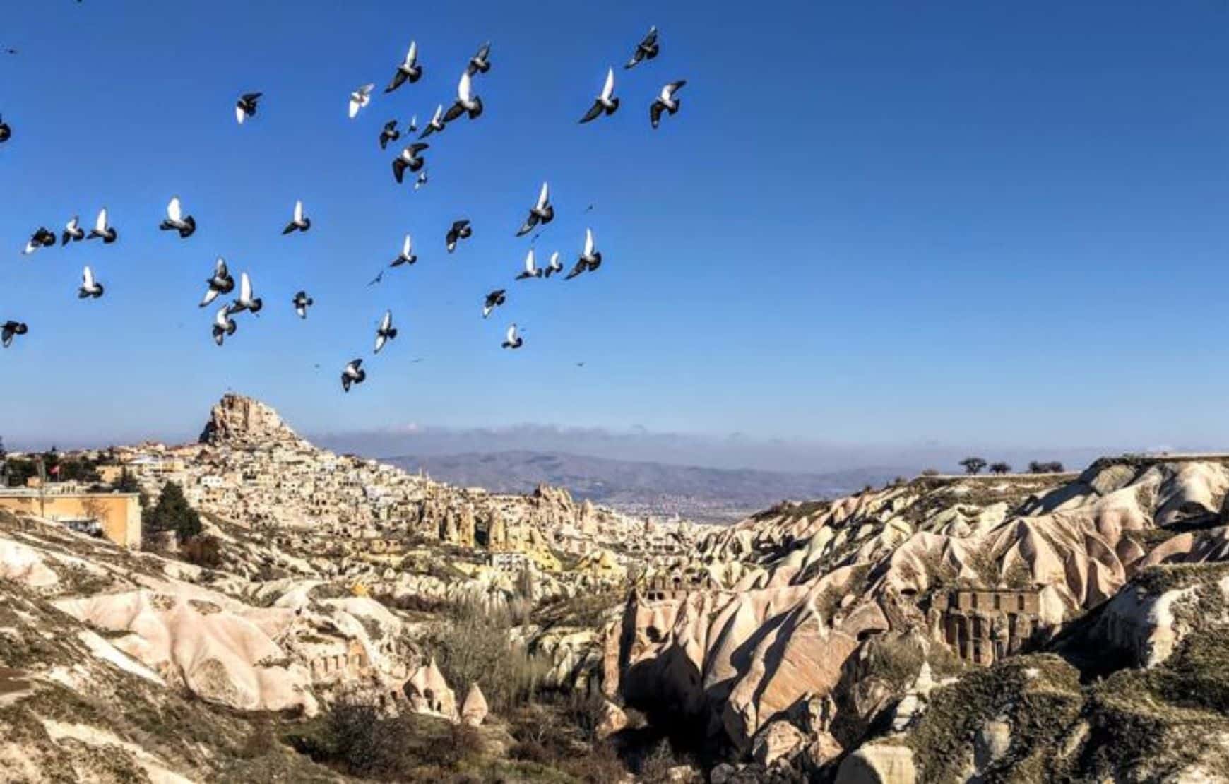 Yellow Tour in Cappadocia includes stop in pigeon valley