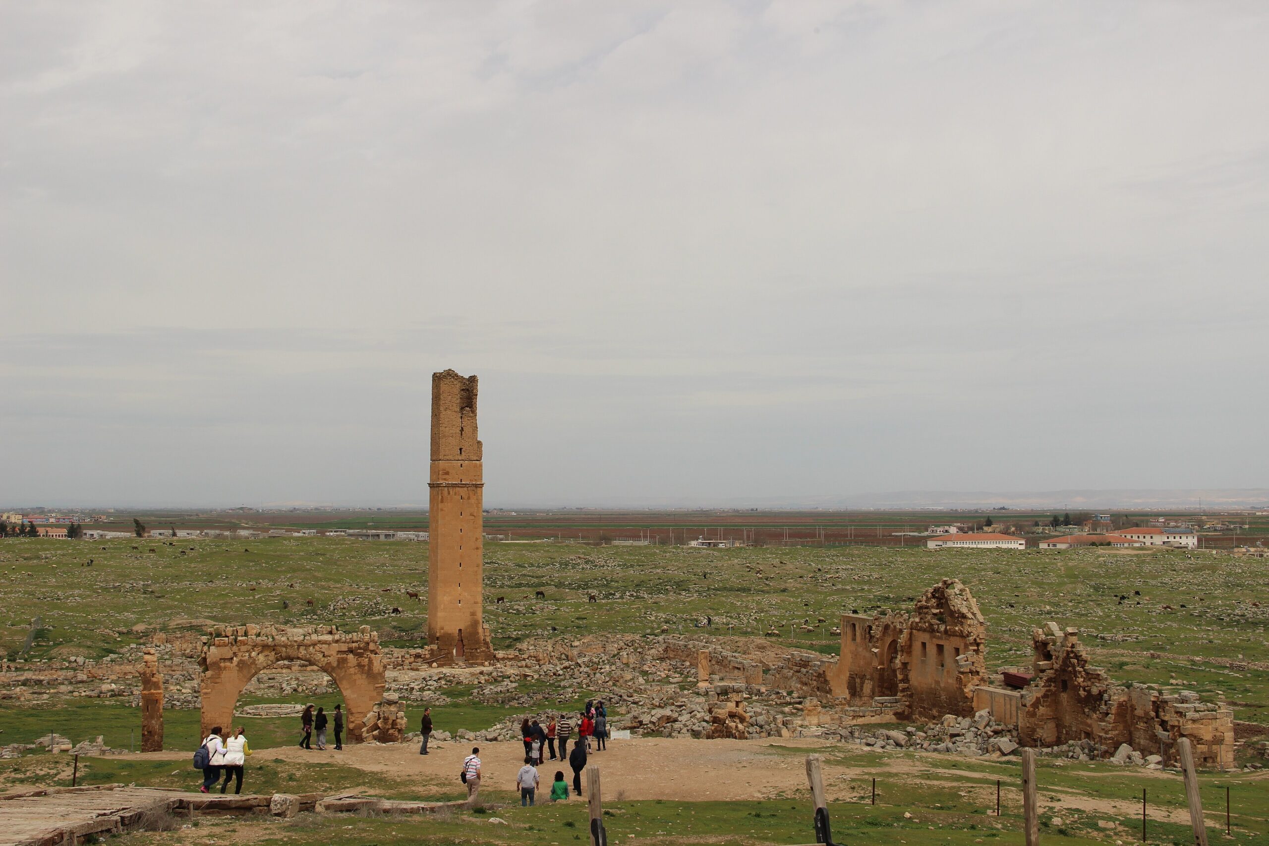 Harran - historic minaret and archaeological remains